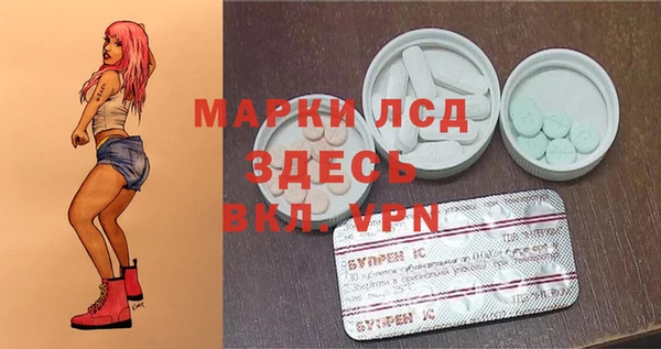 трава Вязьма