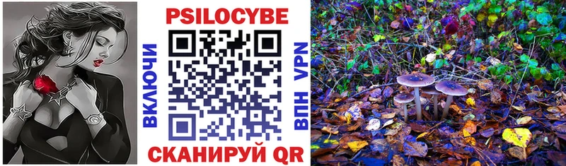 Псилоцибиновые грибы MAGIC MUSHROOMS  блэк спрут зеркало  Инза 